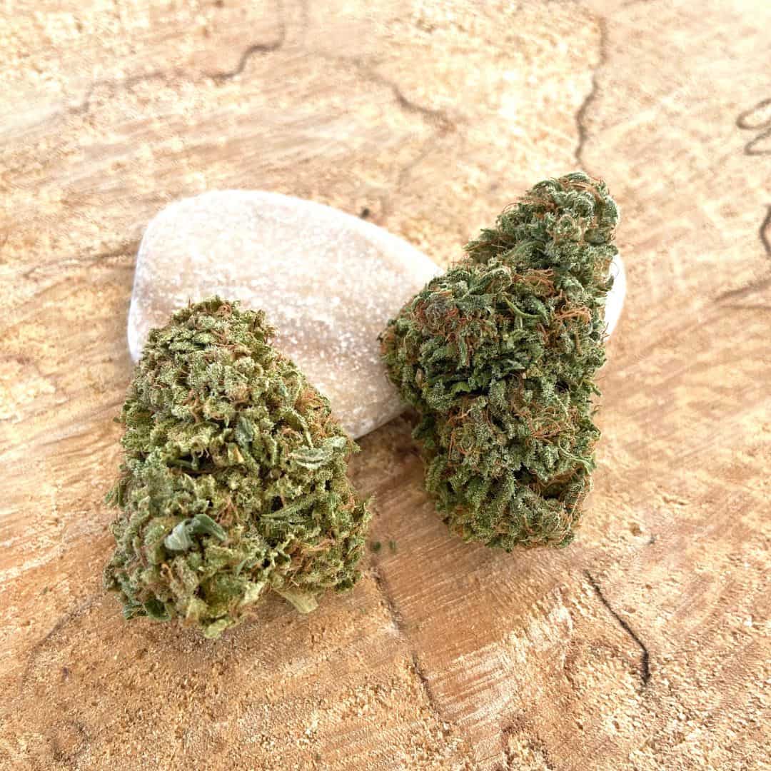 Fleur-de-CBD-Amnesia-bio