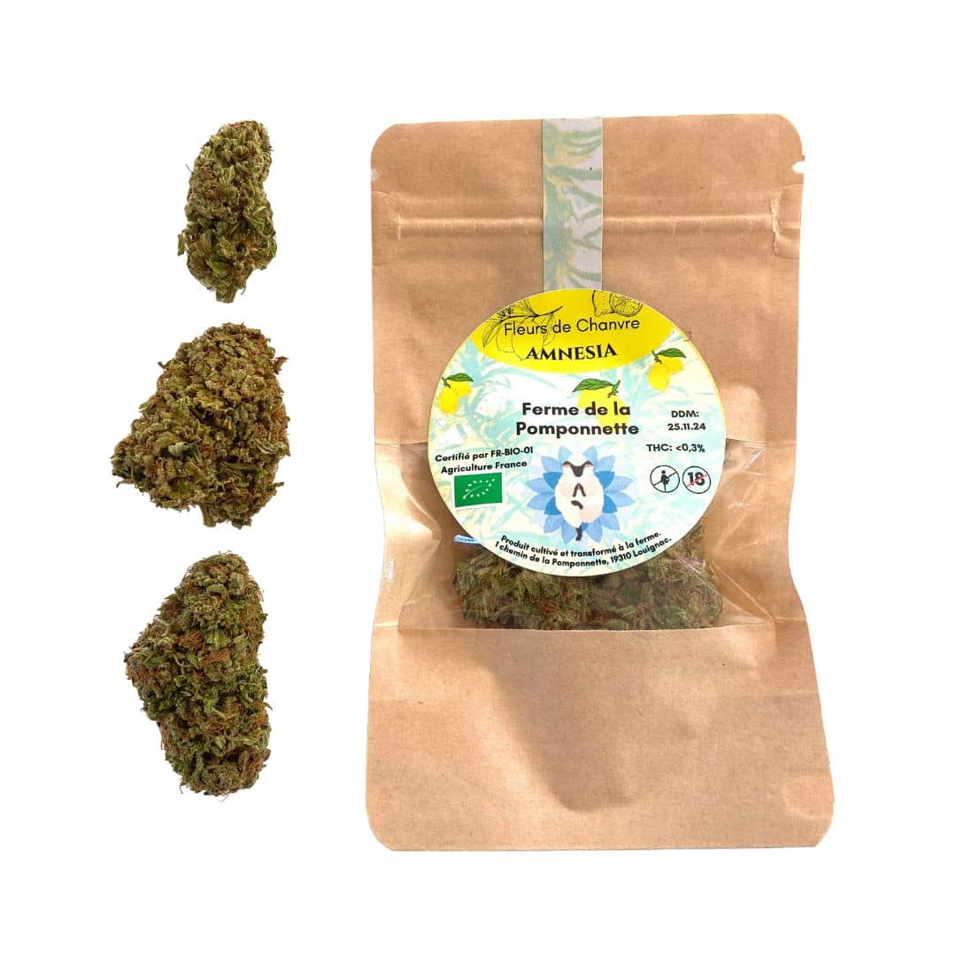 Fleur-de-CBD-Amnesia